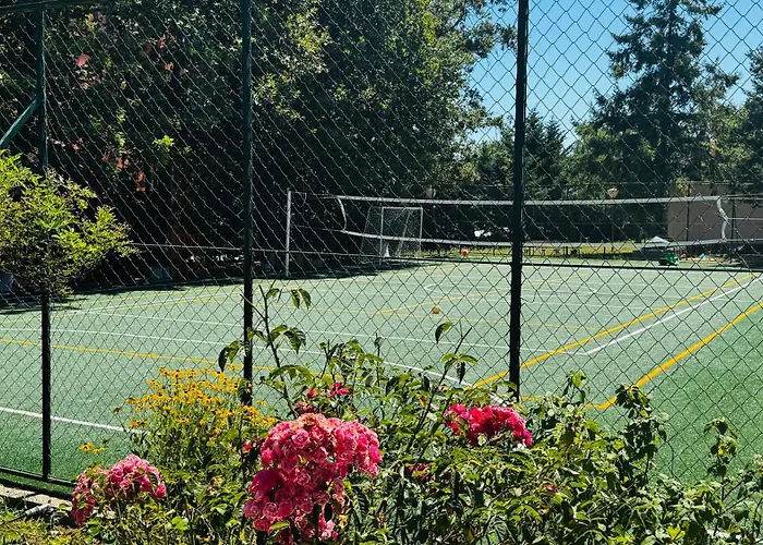 Neva Ξενοδοχείο 2*